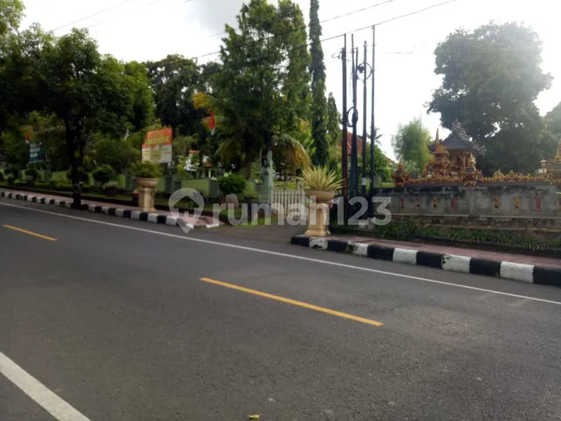 Tanah Murah Bawah Pasar Dijual Cepat di Singaraja Bali - Real Estate in Bali