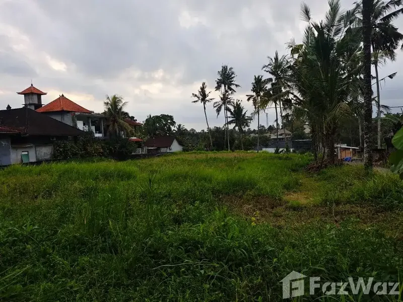 Land for sale in Ubud, Bali - Bali in Bali