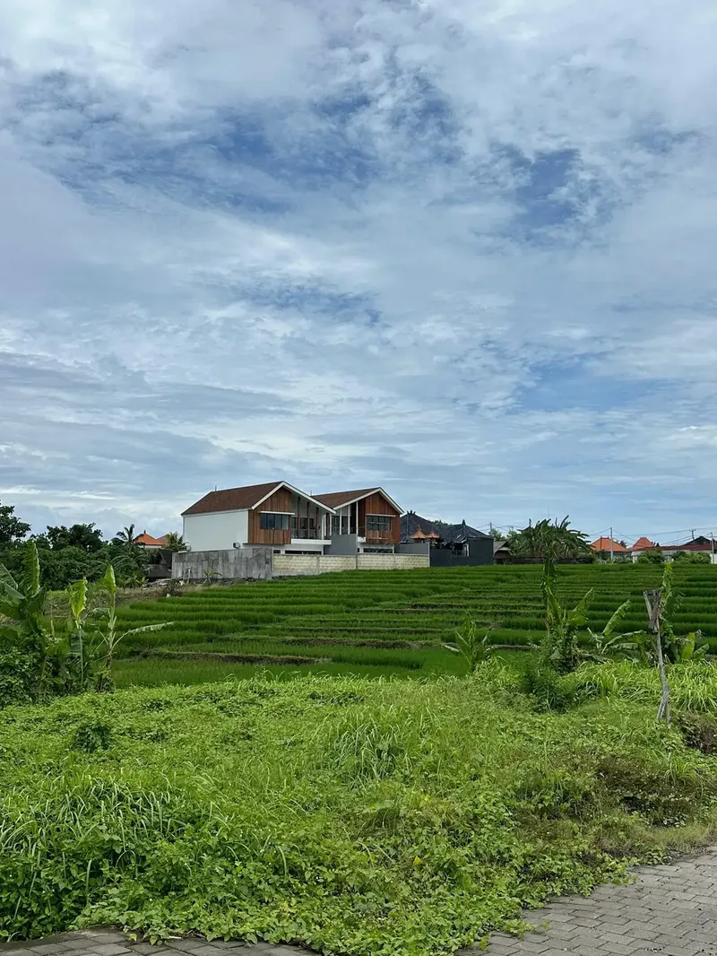 TANAH VIEW SAWAH SUNSET SUNRISE DEKAT CANGGU KEDUNGU - Real Estate in Bali