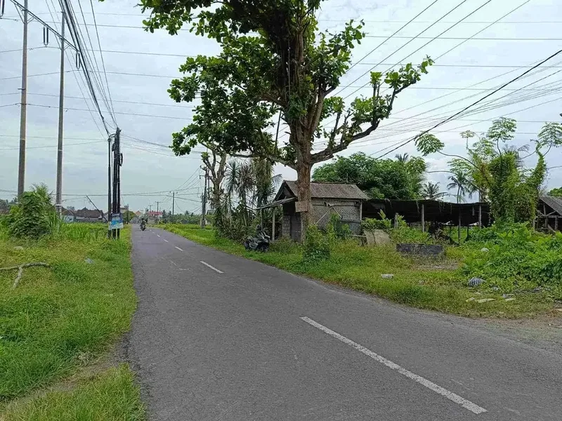 Tanah Cocok Untuk Toko dan Usaha Pinggir Jalan Utama Pering Tojan Blahbatuh - Real Estate in Bali