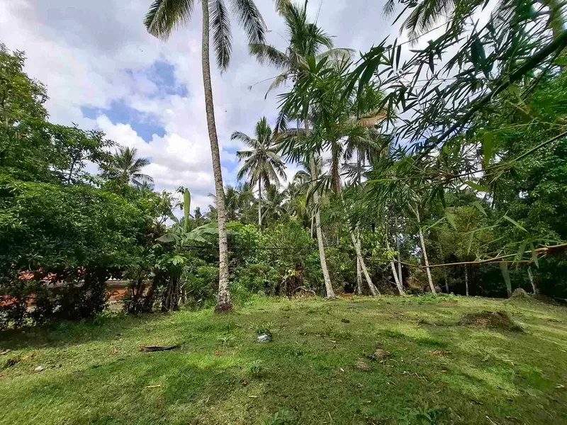 tanah kebun luasan kecil los sungai zona kuning atau zona pemukiman penduduk sudah daerah wisata di tabanan - Bali in Bali