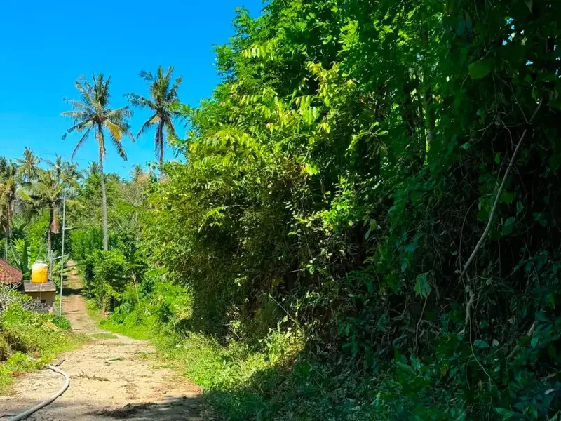 [FOR LEASE] Prime 8-Are Ocean View Land in Padangbai – Near Quenzo Beach Resort - Bali in Bali