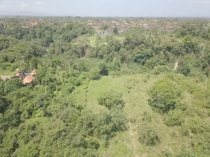 2875 m2 LAND FOR SALE IN KEMENUH UBUD BALI - Real Estate in Bali