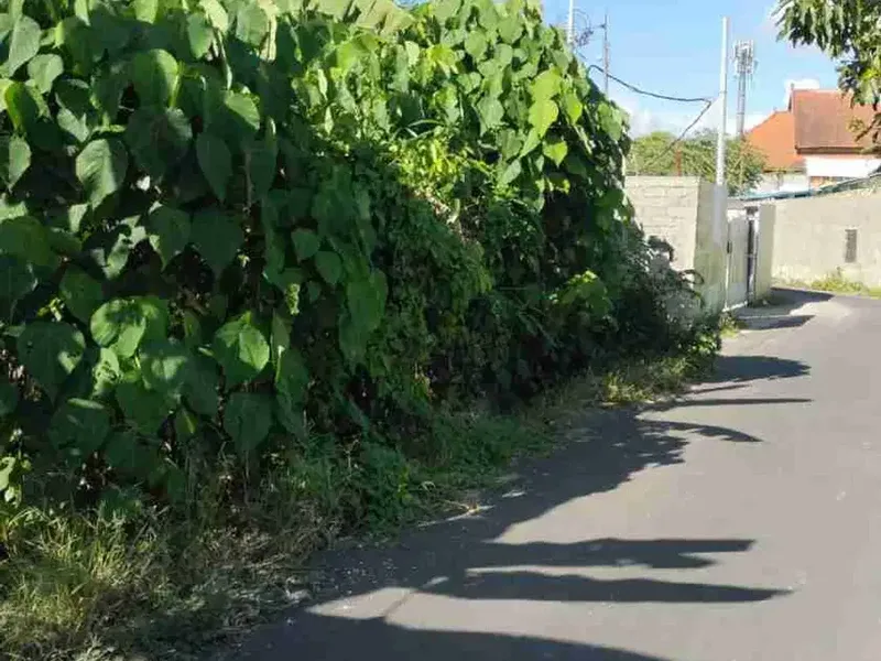 Di jual tanah bagus di pererenan cocok untuk di bangun villa dan hujan lain nya lingkungan bersih dan view sawah - Real Estate in Bali