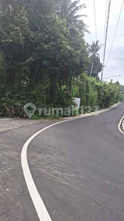 Tanahpejeng Kelod Tukad Pakerisan Ubud - Real Estate in Bali