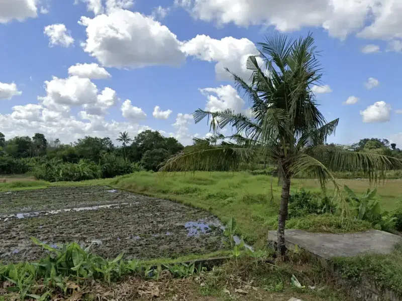 Land for sale in Kaba Kaba, Bali - Real Estate in Bali
