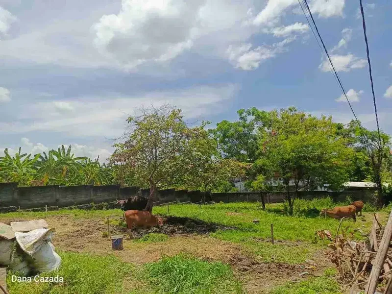 Tanah bagus sangat langka berada di lingkungan villa, cocok untuk bangun villa komersil - Real Estate in Bali