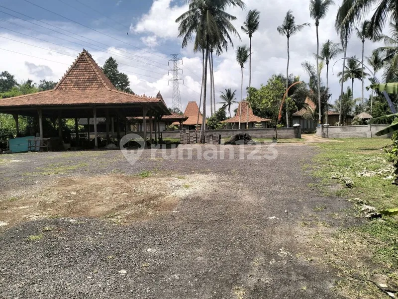 Villa Murah Badung Bali Luas 3800m2 - Real Estate in Bali