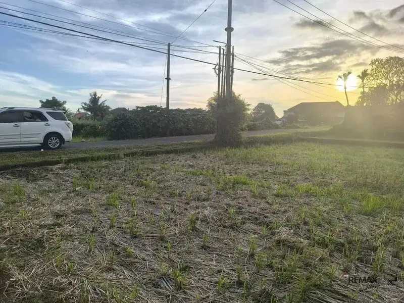 Tanah 16,68 Are Zona Perumahan Dijual, di Kedungu Tabanan Area - Real Estate in Bali