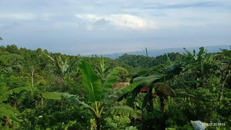 BUC TANAH DIJUAL FULL VIEW LAUT BALI UTARA - Real Estate in Bali