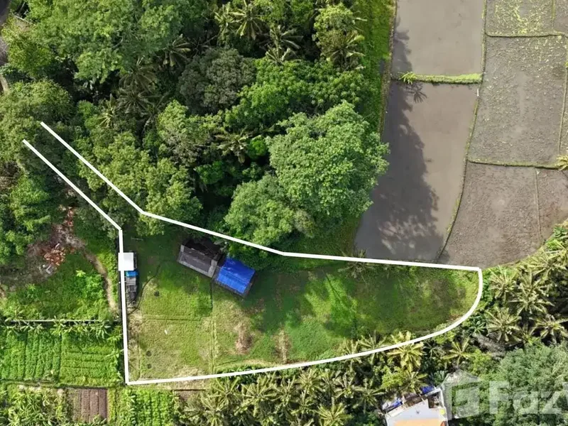Land for sale in Ubud, Bali - Real Estate in Bali