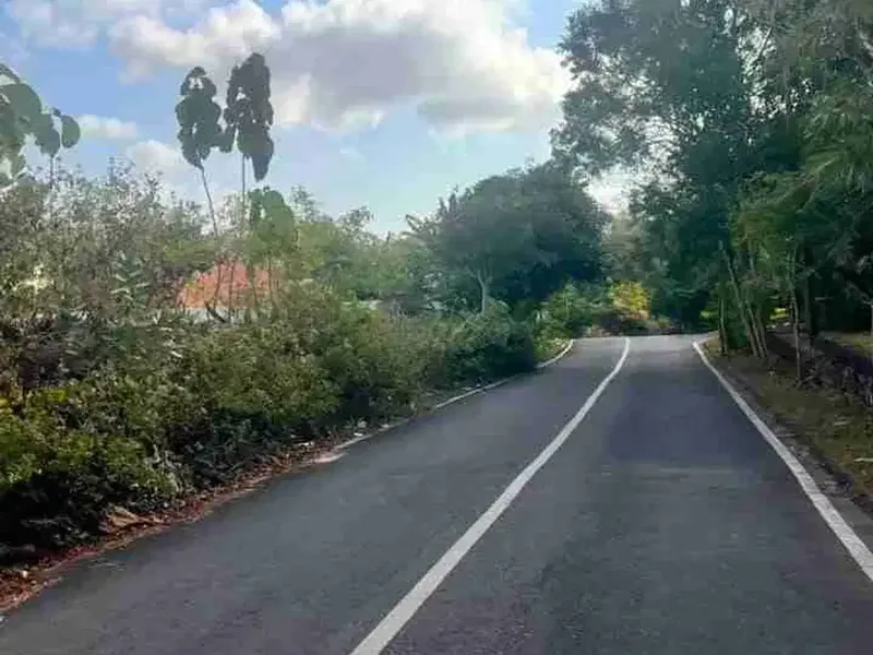Di jual tanah luas 6 are - Real Estate in Bali
