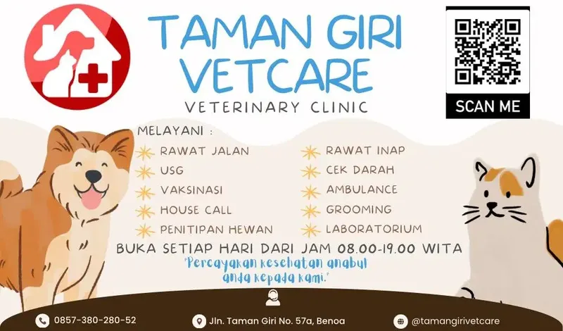 Dokter hewan bisa panggilan ke rumah dan ambulan di jimbaran nusa dua - Other in Bali