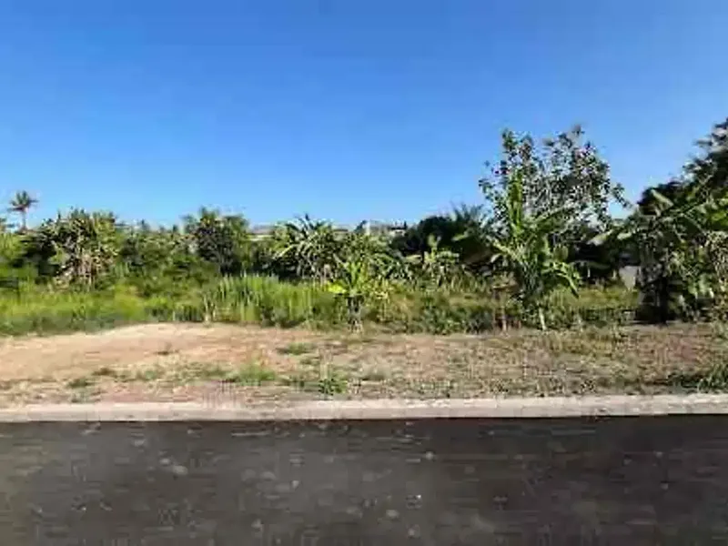 Dijual Tanah Kavling di Kawasan Pering Blahbatuh Gianyar - Real Estate in Bali