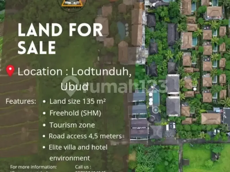 Dijual Lahan Kecil Eksklusif Lodtunduh Ubud - Real Estate in Bali