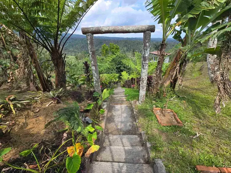 Dijual tanah bonus villa dengan view gunung sawah dan lembah di bali - Real Estate in Bali