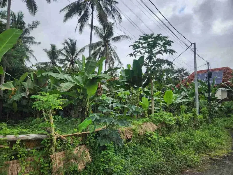 Tanah Lingkungan Villa Ubud Harga Menarik - Real Estate in Bali