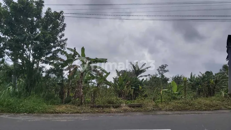 A Timeless Investment In The Highlands Of Munduk, Panoramic Lake And Hillside Land On The Munduk-Wanagiri Highway - Bali in Bali