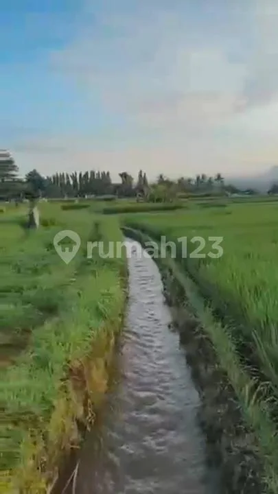 Tanah Luas Stragis Dekat Pusat Ubud di Peliatan, Gianyar Bali - Real Estate in Bali