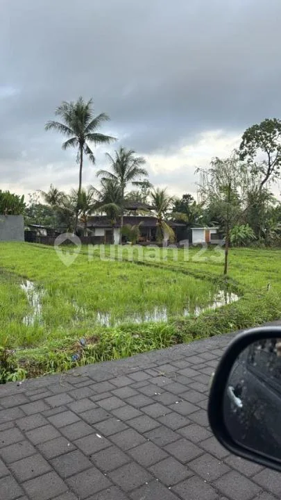 For Rent Villa Rice Field View Strategic 5 Menutes From Rusters Kafe Sayan 12 Minutes From Mongkey Forest Center Ubud Bali - Real Estate in Bali