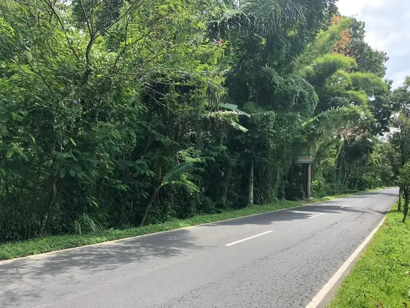 DIJUAL TANAH MURAH DI UBUD GIANYAR - Real Estate in Bali