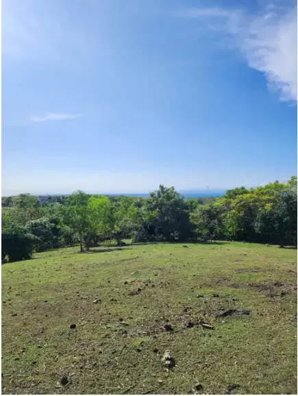 Land for sale at Pecatu - Real Estate in Bali