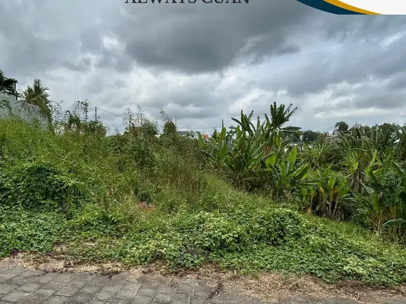 DIJUAL TANAH MURAH TABANAN – FULL VIEW - Bali in Bali