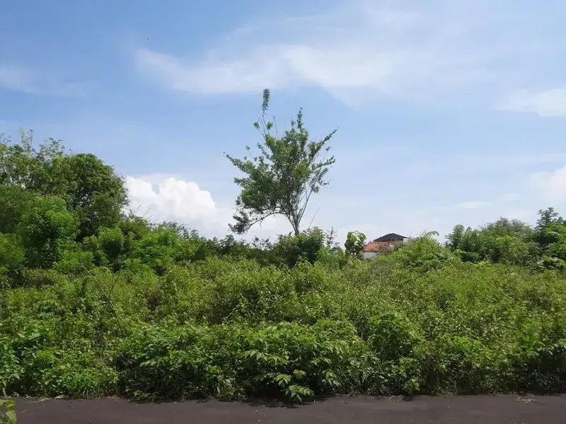 Tanah kavling di Kutuh, Nusa Dua - Bali in Bali