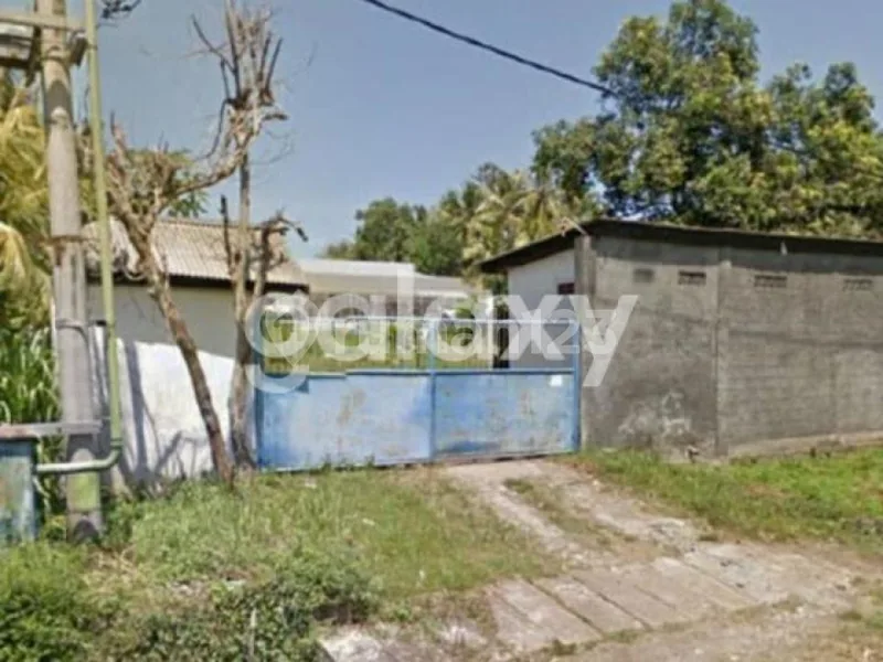 Tanah Bonus Bangunan di Pantai Rening Negara Jembrana, Bali - Real Estate in Bali