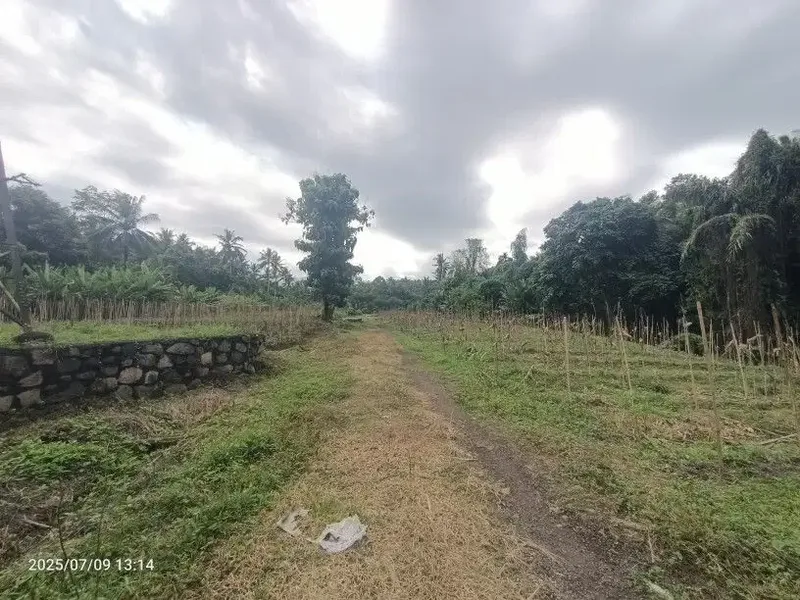 Tanah Zona Pink dekat Pantai Pekutatan dan Medewi Bali - Real Estate in Bali