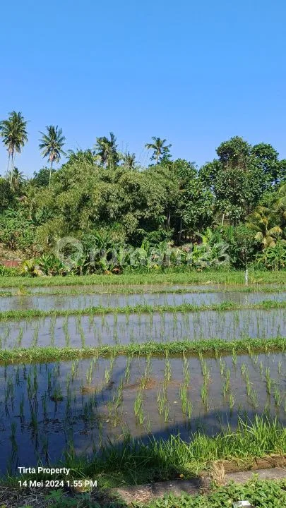 Tanah Balian Beach 7200m2 SHM - Bali in Bali