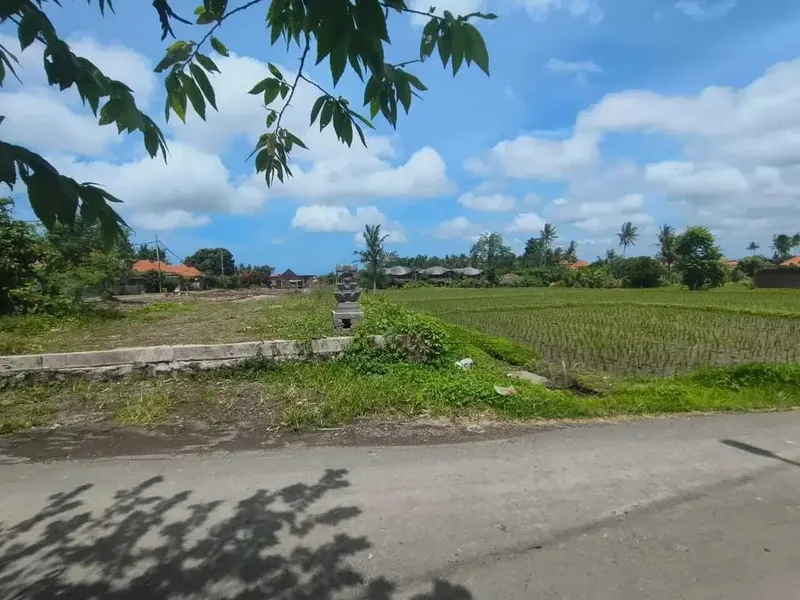 Tanah 650m2 View Sawah Lingkungan Villa Mewah Kemenuh Ubud - Real Estate in Bali
