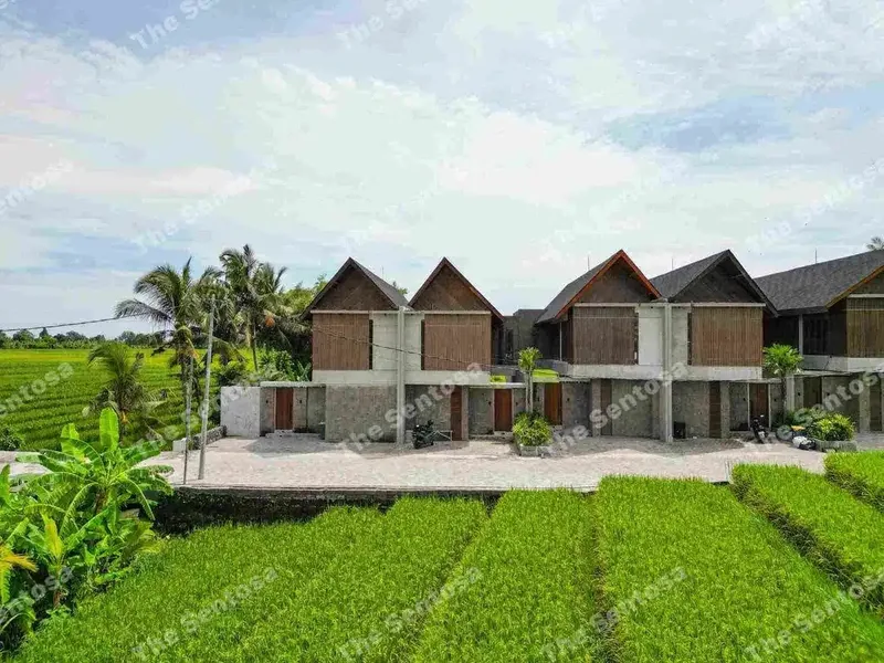 Villa Kedungu View Sawah Abadi Brand new harga super ramah - Real Estate in Bali