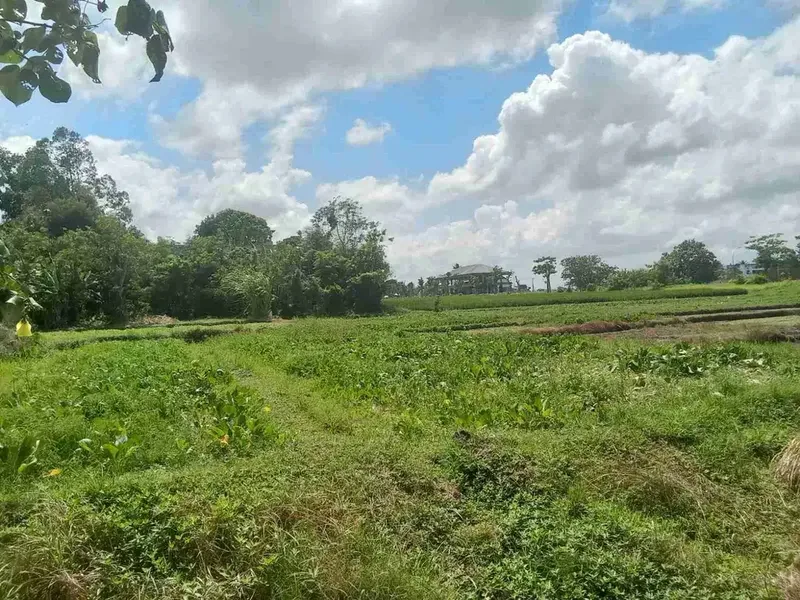 Tanah Prime View Sawah Di Ciputra Resort Pangkung Tibah Kediri Tabanan - Real Estate in Bali
