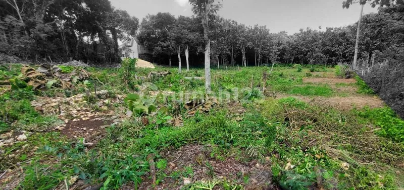 Big Plot Land In Uluwatu Suitable For Cluster Villa - Bali in Bali