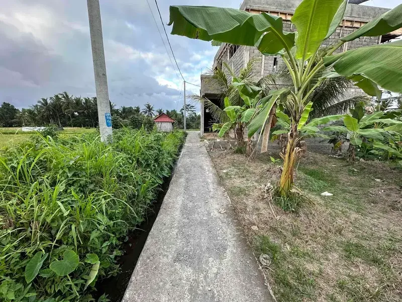 Tanah SHM View Sawah di Ubud, Dekat Kampus Mediterranean Bali - Bali in Bali