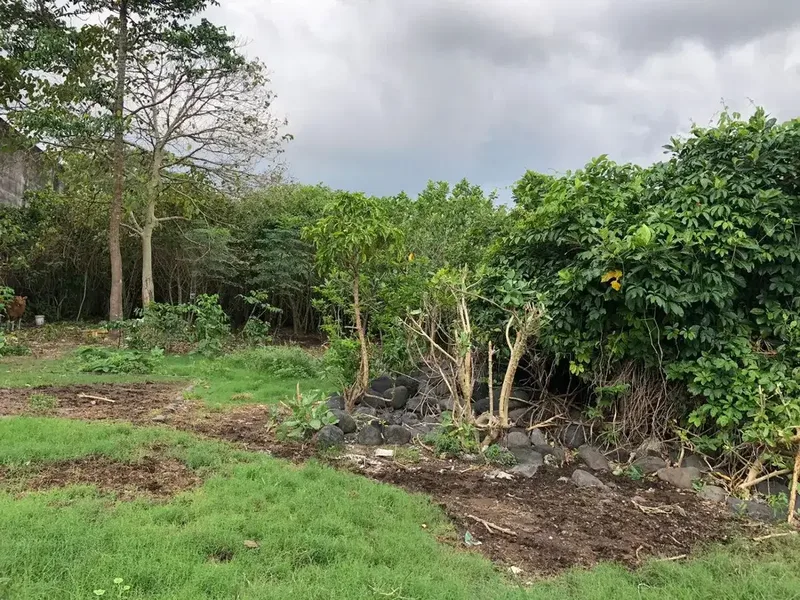 Freehold - Rare Opportunity! Land in commercial located in Ubung Kaja, Denpasar Utara, Bali - Real Estate in Bali