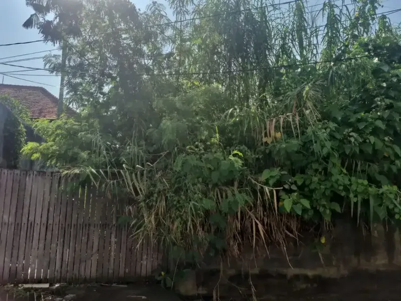 Land for sale at Jalan Dewi Saraswati, strategic location - Bali in Bali