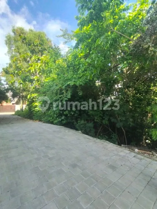 Tanah Bagus Lingkungan Villa Dekat Airis Villa Pecatu Sangat Cocok Untuk Komersil - Bali in Bali