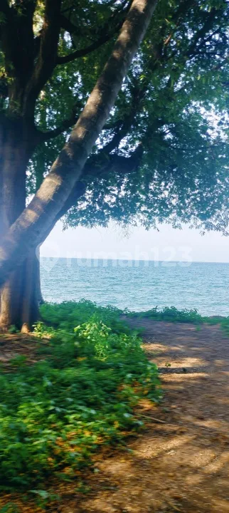 86 Are SHM Beachfront Pinggir Jln Utama Singaraja Kubutambahan - Bali in Bali