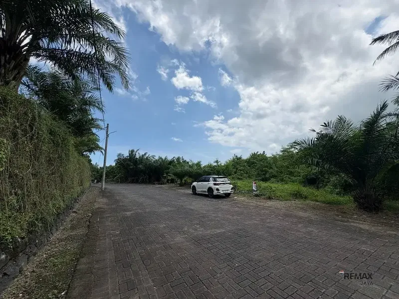 Tanah 25.69 Are di lingkungan villa eksklusif Dijual, di Munggu - Real Estate in Bali