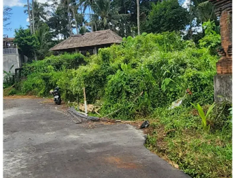 Tanah 185 m2 di Semana Ubud - Real Estate in Bali