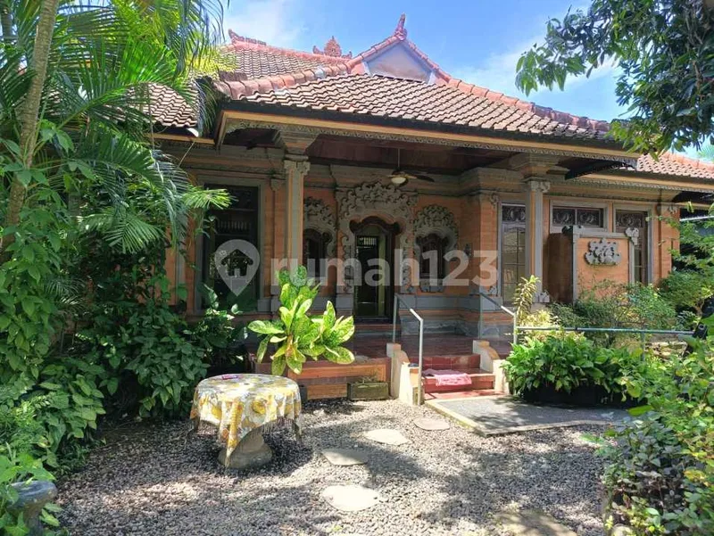 Di Sanur Kaja, - Bali in Bali