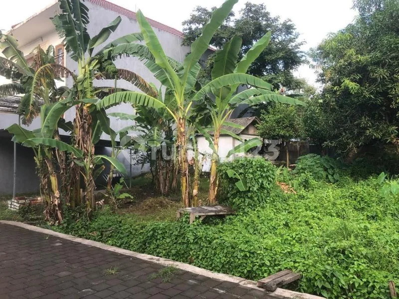 Dijual Tanah Prime di Canggu - Real Estate in Bali