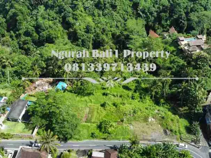 Over Kontrak Luas Tanah 69,38 Are View Jungle dan Tebing di Ubud - Real Estate in Bali