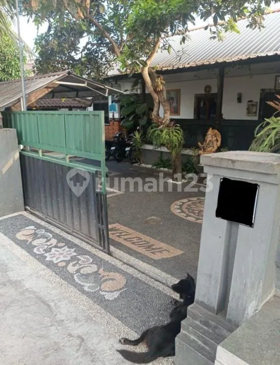 Rumah Nyaman & Asri Luas 2 Are di Abiantuwung, Tabanan - Kosongan - Siap Huni - Real Estate in Bali
