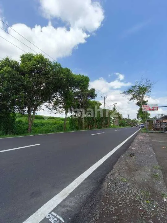 Tanah Pinggir Jalan Utama View Sawah & Pohon Kelapa di Blahkiuh - Bali in Bali