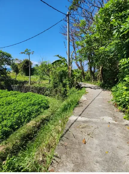 Tanah dekat Pantai Ketewel Gianyar Bali - Real Estate in Bali
