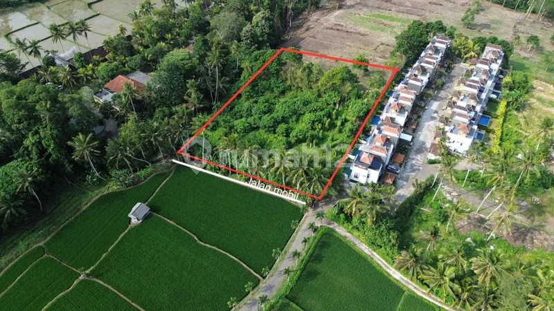 Di Jual Tanah Murah di Kawasan Kemenuh Dekat Ubud - Real Estate in Bali