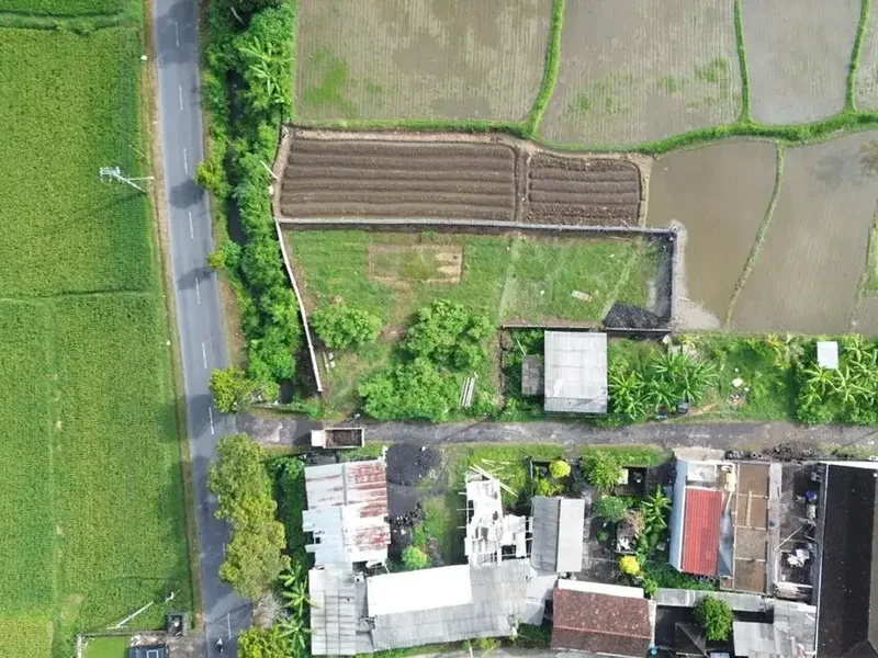 LAND WITH RICEFIELD VIEW IN GIANYAR - Real Estate in Bali